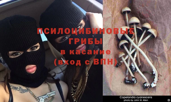 ECSTASY Медногорск