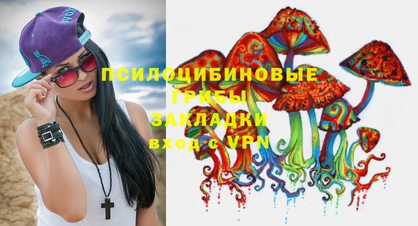 ECSTASY Медногорск