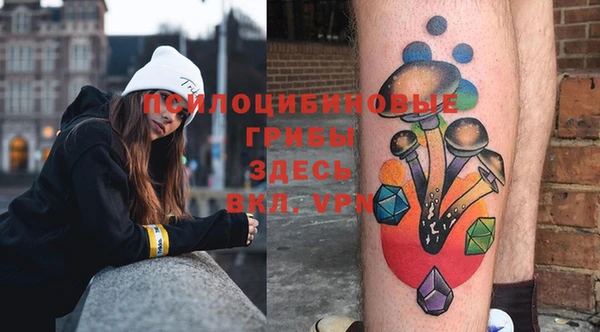 спиды Медвежьегорск