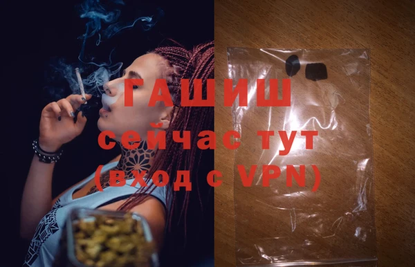 спиды Медвежьегорск