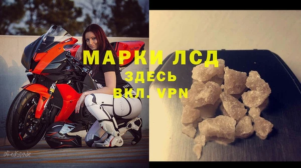 спиды Медвежьегорск